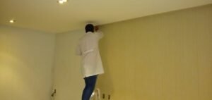 Onde estudar para Colocador de Papel de Parede?